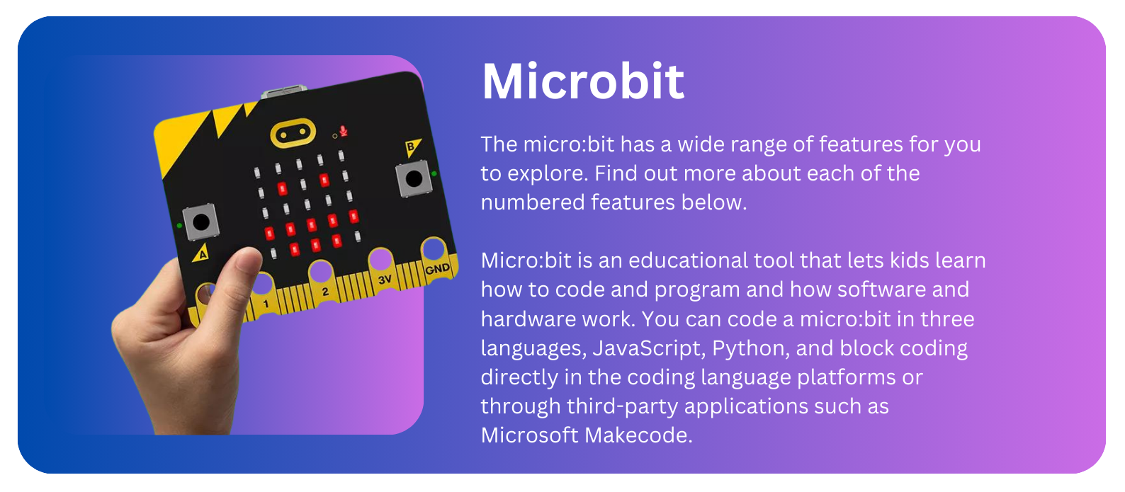 Slide 13 - Micro-bit